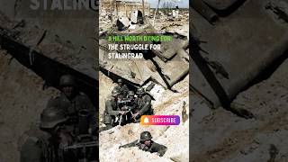 The Battle for Mamayev Kurgan A Hill That Could Change History history shorts [upl. by Mauralia]