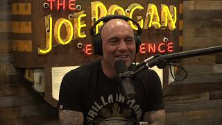 Joe Rogan Experience 1647  Dave Chappelle [upl. by Everard]