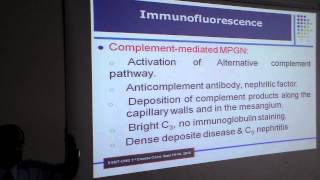 Membranoproliferative GN Dr Yasser Abdulhameed Cairo University [upl. by Nowd]