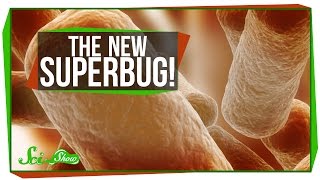 The New Superbug [upl. by Bree428]