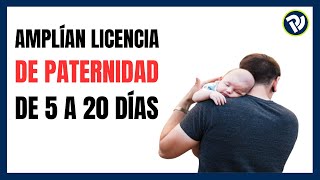 Amplían licencia de paternidad de 5 a 20 días [upl. by Matt47]