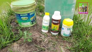 Basf Basagran herbicide  bentazone480sl  रोपाई धान के फसल में खरपतवार नाशक का स्प्रे  CGKISANTV [upl. by Killy834]