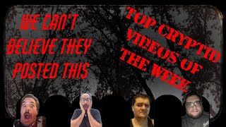 Cryptid Video Review Ep02 cryptidnation bigfoot [upl. by Leirraj]