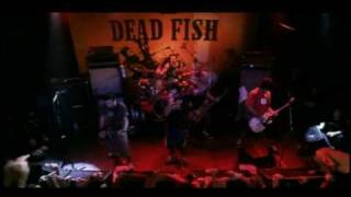 Dead Fish  Queda Livre  MTV Apresenta [upl. by Admama]