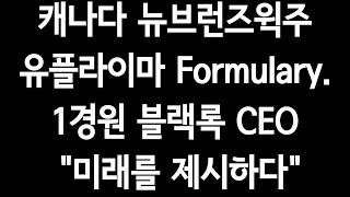 캐나다 뉴브런즈윅주 유플라이마 Formulary1경원블랙록CEOquot미래를 제시하다quot수백배폭등은quot4차산업quot [upl. by Leaper528]