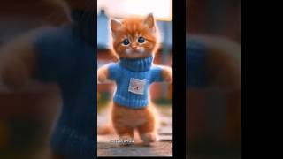 Kucing Lucu II Kucing Lucu Joget Gaya Naik Motor 06 II Kucing Joget shorts viralvideos cats [upl. by Aserehs]