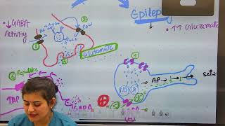 EPILEPSY AND ANTIEPILEPTIC DRUGS nclexnursing norcet aiimsnorcet internationalstudents [upl. by Ebbarta]