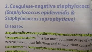 Staphylococcus Epidermidis amp Saprophyticus  MICROBIOLOGY [upl. by Eide917]