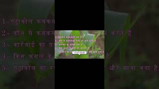 Antracoal fungicide use in hindi Bayer Propeneb 70 WP Bayer Product shorts shortsfeed [upl. by Arevle]