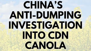 China announces antidumping investigation into Canadian canola [upl. by Ivette172]