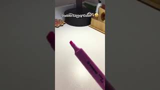 Stabilo Swing Cool🤩 stabilostationerystationeryvideoskırtasiyekeşfetkeşfetteyizkeşfetedüş [upl. by Aliuqa378]