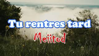 Meiitod Tu rentres Tard LyricsParoles [upl. by Janus]