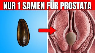 Nur 1 Samen um eine vergrößerte Prostata zu verkleinern [upl. by Eugenio]