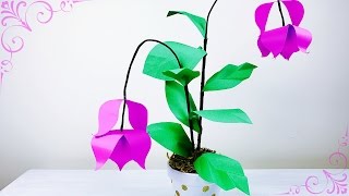 FLORES EN PAPEL PLANTA EN PAPEL MEDINILLA MAGNIFICA MOLDES GRATIS PAPER FLOWER CHANDELIER TREE [upl. by Averill214]