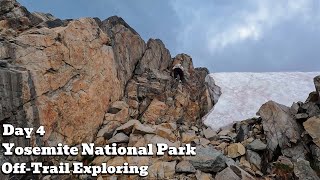 Yosemite Uncharted OffTrail Adventure Through Tioga Pass  Day 4 [upl. by Nadia120]