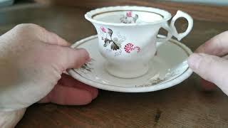 Antique Porcelain China Vine Fruits No 639 Teacup and Saucer [upl. by Elleirbag]