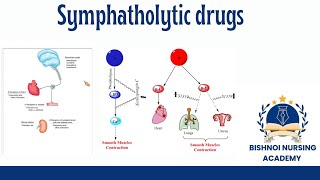 Symphatholitic drugs antihypertensive drugs in pharmacology [upl. by Yekim]