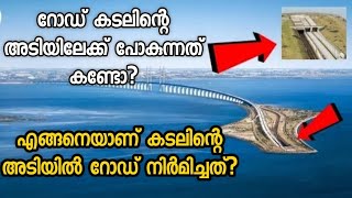 How was this Oresund Bridge built  ഡെന്മാർക്കിനെയും സ്വീഡനെയും ബന്ധിപ്പിക്കുന്ന ഒറീസുണ്ട് പാലം [upl. by Hsatan]