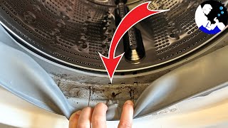 How To Clean a Washing Machine and Eliminate Bad Smell [upl. by Porett]