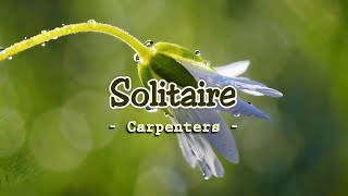 Solitaire  KARAOKE VERSION  as popularized by Carpenters [upl. by Pooh968]