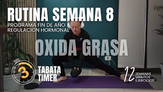 REGULA TUS HORMONAS RUTINA DE OXIDACIÓN DE GRASA ENTRENAMIENTO EN CASA O GYM 12 MINUTOS SEMANA 8 [upl. by Martine544]