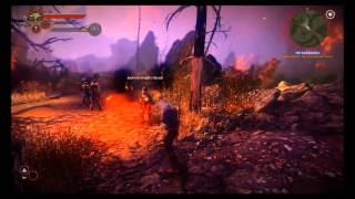 The Witcher 2 Gameplay Video 1 Combat overview [upl. by Amarillis904]