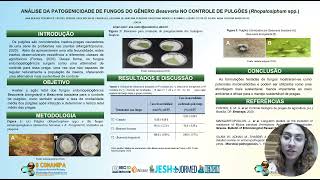 ANÁLISE DA PATOGENICIDADE DE FUNGOS DO GÊNERO Beauveria NO CONTROLE DE PULGÕES Rhopalosiphum spp [upl. by Aihsile]