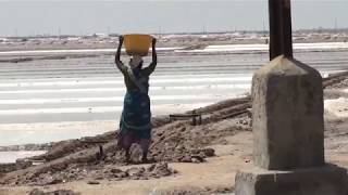 Sahayamatha Saltworks in India [upl. by Fritzie]