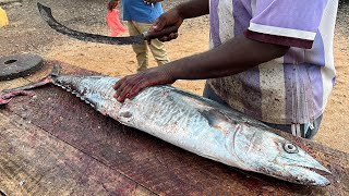 WOW  WHOLE SPANISH MACKEREL FISH SLICING FOR FRY [upl. by Eedissac]