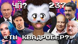 Чё Происходит 237  Миа Бойка vs квадроберы японский шпион в Беларуси Путин встречался с Дуровым [upl. by Nama]