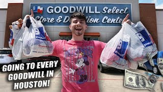 I WENT TO EVERY GOODWILL IN MY CITY HUGE HAUL Trip to the Thrift [upl. by Seebeck55]