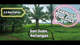 Vlog 47 FATRMLOT FOR SALE  SAN JUAN BATANGAS  29 HECTARES [upl. by Nosiram956]