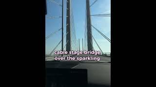 The worlds most expensive underwater bridge 😱💸 Oresund bridge [upl. by Oiretule]