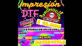 IMPRESION DTF [upl. by Arretak]