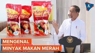 Mengenal Minyak Merah yang Diklaim Jokowi Lebih Murah dan Bergizi [upl. by Dietz]