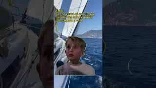 Sailing meme  Paura di navigare a vela con andatura di bolina ⛵️ [upl. by Felicie]