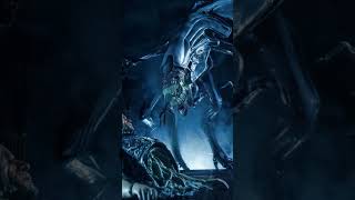 predator predatormovie alienvspredator yautja alien avp predators arnoldschwarzenegger [upl. by Hammerskjold]