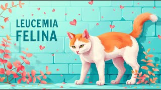 ≫ Virus de Leucemia Felina FeLV en Gatos Síntomas y Prevención [upl. by Malynda]