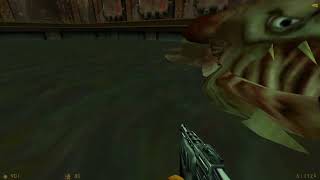 HalfLife  Shotgunning the Ichthyosaur [upl. by Eveam908]