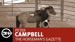 Halter Breaking Part 2 with Peter Campbell [upl. by Gratiana]