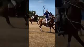 EXRACEHORSES PLAYING POLOCROSSE‼️ 💯🐴🥍 streamhorsetv horse polocrosse sports lacrosse shorts [upl. by Maxine]