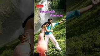 Vijay Devarakonda songs vijaydevarakonda music musicvideo trending melody collection favorite [upl. by Primavera63]