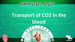 L56 Part 2 The transport of CO2 and Oxygen in the blood physiology [upl. by Coney913]