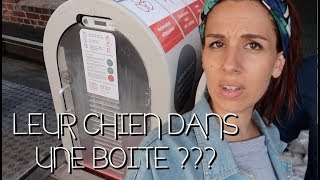 ILS METTENT LEURS CHIENS DANS UNE BOITE  VLOG A OSLO [upl. by Noam]