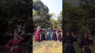 Tsis Tsis ladakhi song junglu folksongs2023 ladakh [upl. by Siradal]