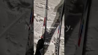 sweden falun crosscountry relax skiing snow [upl. by Mignonne658]