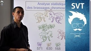 SVT Terminale  Exercice de type BAC  Le Brassage chromosomique [upl. by Geiss]