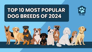 Top 10 Most Popular Dog Breeds of 2024 [upl. by Lacee653]