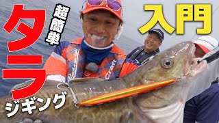 カンタン！タラジギング入門｜基本の釣り方解説＆中深海スロージギングに最適なジグセレクトとは？ [upl. by Tinor]