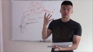 USMLE Neurology 14 Neuroanatomy Glaucoma Visual Pathway and Pharmacology Pt 2 [upl. by Chester]